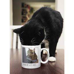Purr My Last Email Coffee Mug
