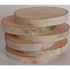 Birch Log Coasters set of six