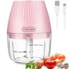 Mini Food Chopper