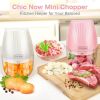 Mini Food Chopper